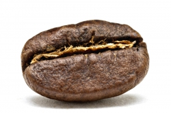 Coffee beans with caffeine