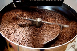 Coffee roaster Orfeo Coffee